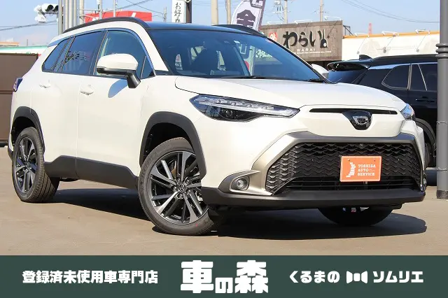 HYBRID Z