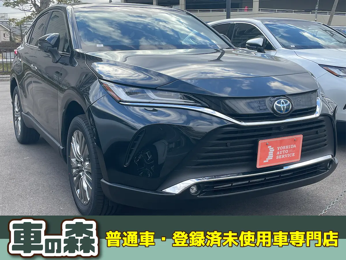 Z/プラグインハイブリッド車