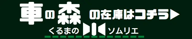 車の森在庫確認