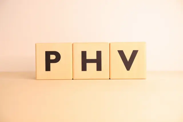 PHVとは?